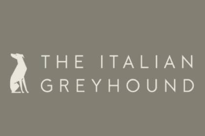 The Italian GreyHound
